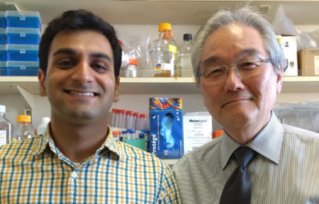 Swapneel Patel, left, and Wayne Yokoyama, Right, of Division of Rheumatology, Department of Medicine and Howard Hughes Medical Institute.